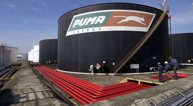 Puma Energy запустила продажи усовершенствованных моторных масел в Намибии